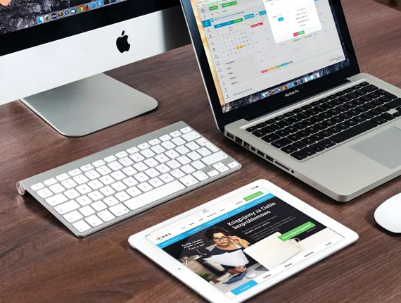 Portfolio - mk体育xinsheng